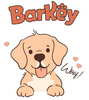 Barkey - Home