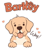 Barkey - Home