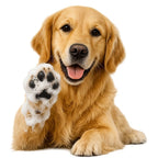 Paw cleanser foam 200 mL