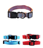 Big size dog Collar 🐾 45cmx70cm